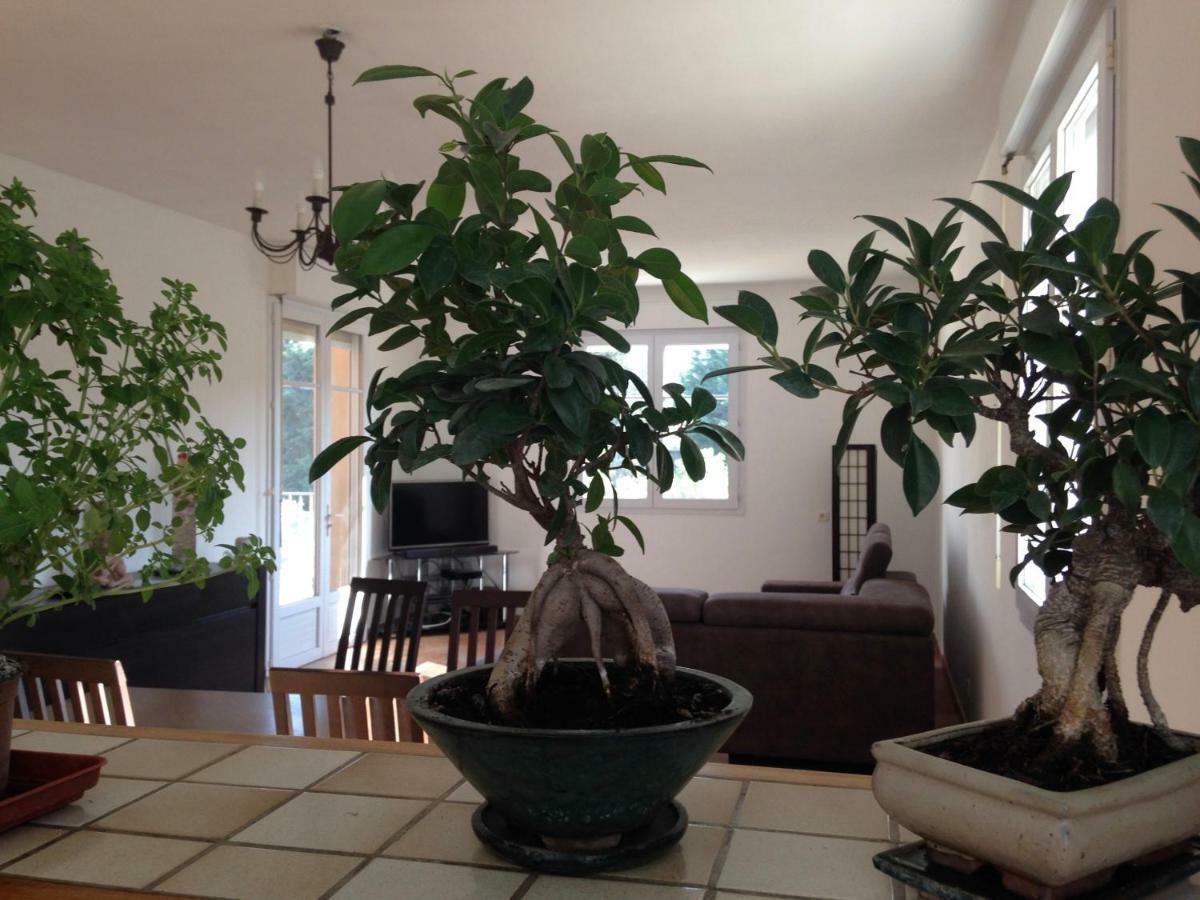 Appartement Salvaterra Sauveterre  Εξωτερικό φωτογραφία