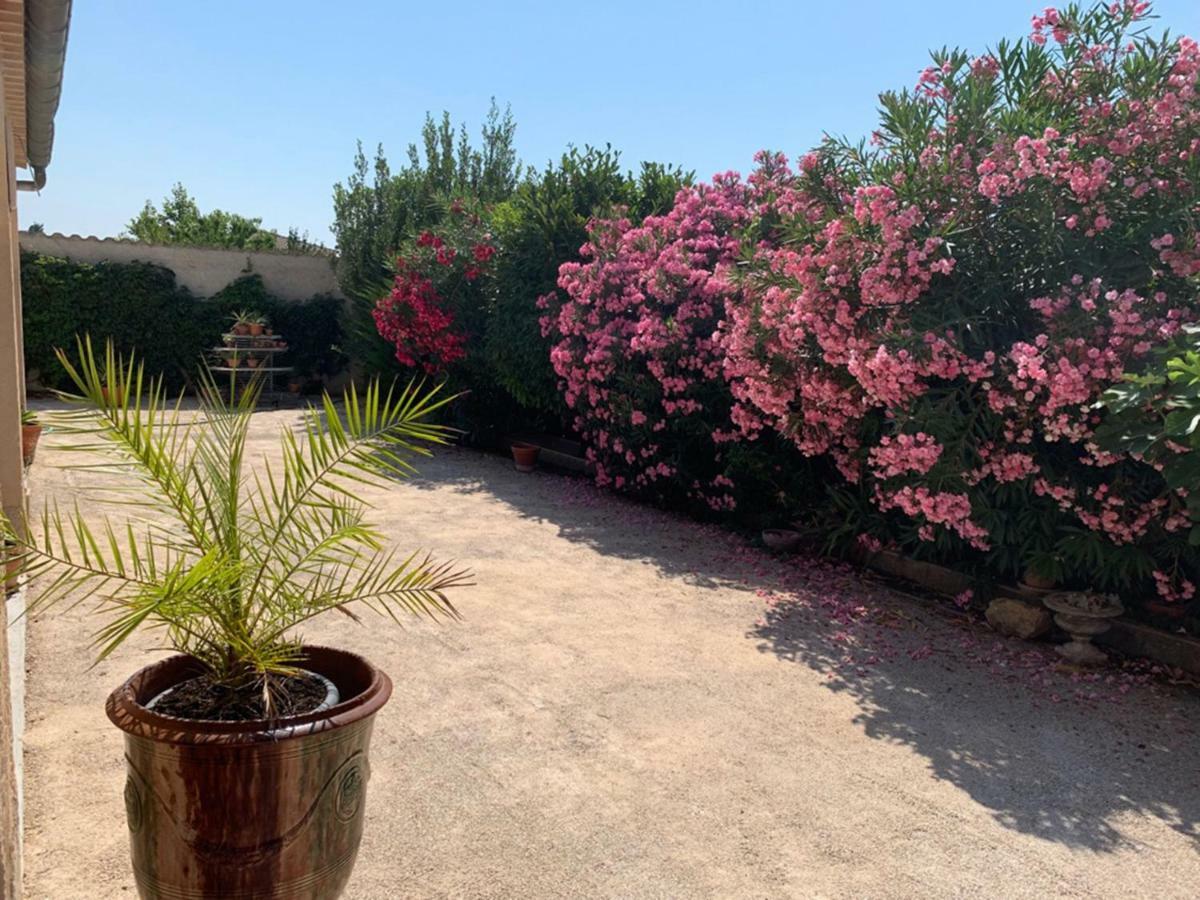Appartement Salvaterra Sauveterre  Εξωτερικό φωτογραφία